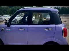 Ηλεκτρικό τετράτροχο όχημα υψηλών σημείων με την υψηλή απόδοση δαπανών και την καλή ποιότητα