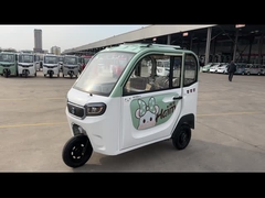 800W ηλεκτρικός τρίκυκλος επιβάτης 3 ενηλίκων επιβατών ηλεκτρικό τρίκυκλο ροδών